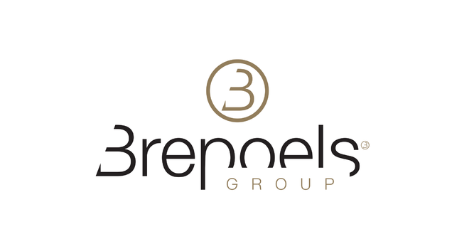 CEO, Group Brepoels